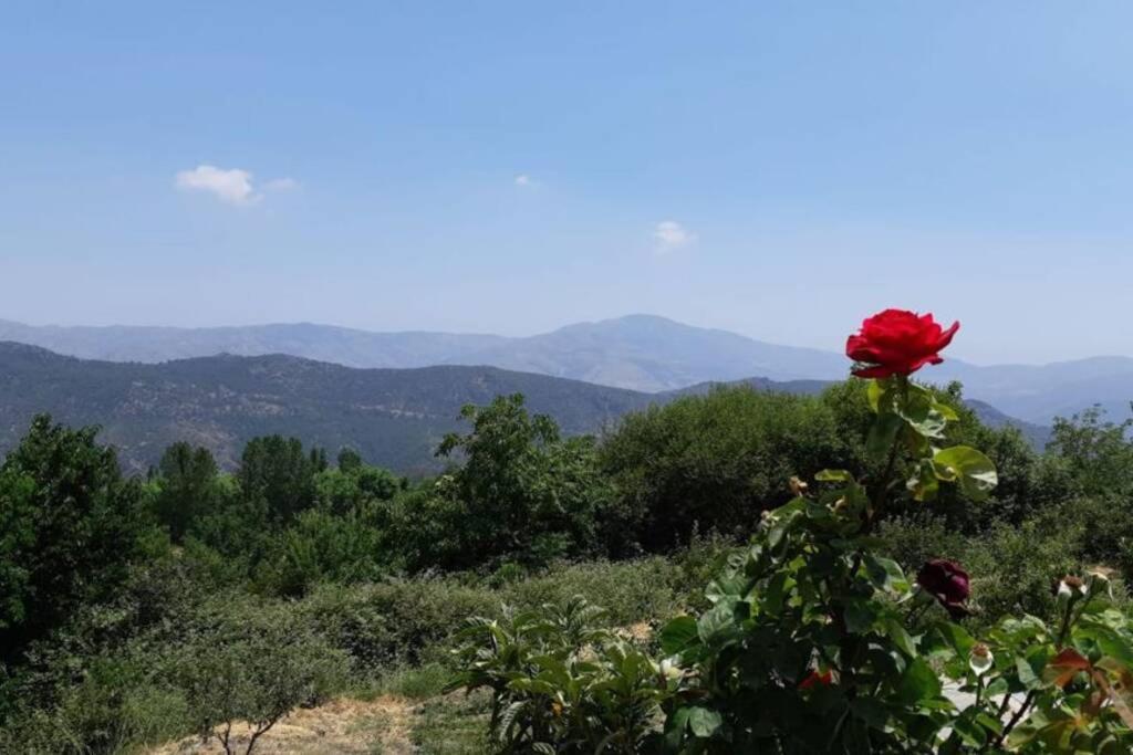 Cortijo Jimenez - Pitres