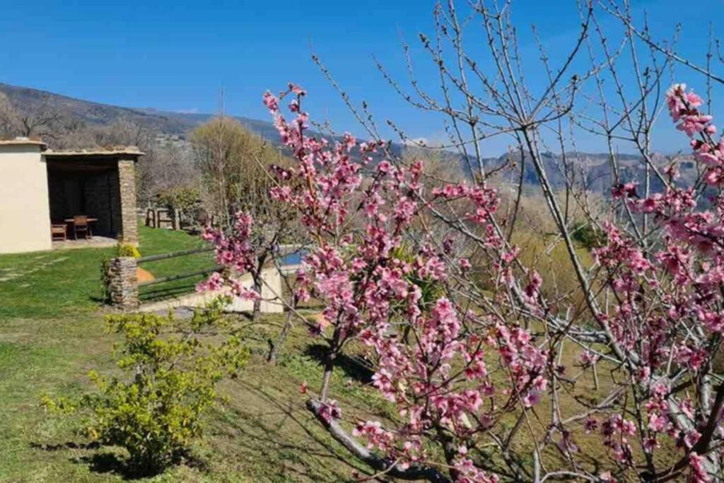 Cortijo Jimenez - Villa