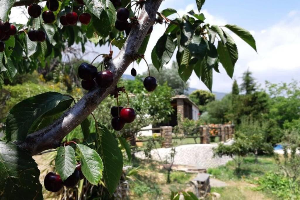 Cortijo Jimenez - Pitres
