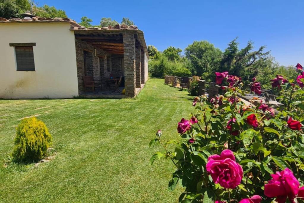 Cortijo Jimenez -