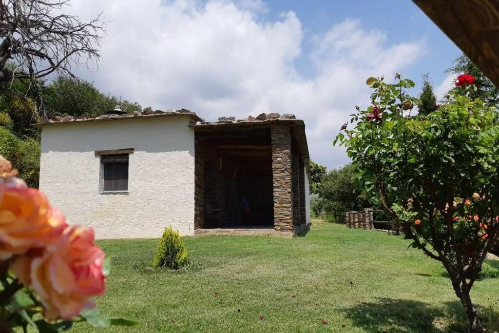 Villa Cortijo Jimenez -