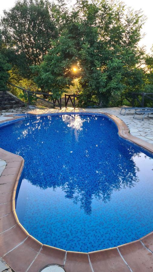 Villa Cortijo Jimenez - *
